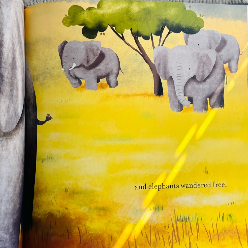 I’ve Loved You Since Forever 🧡 Hoda Kotb Baby Board Book - Picture 8 of 11
